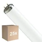 Confezione Multipack 25x Philips T8 Flexo print 40W | 60cm - UVA